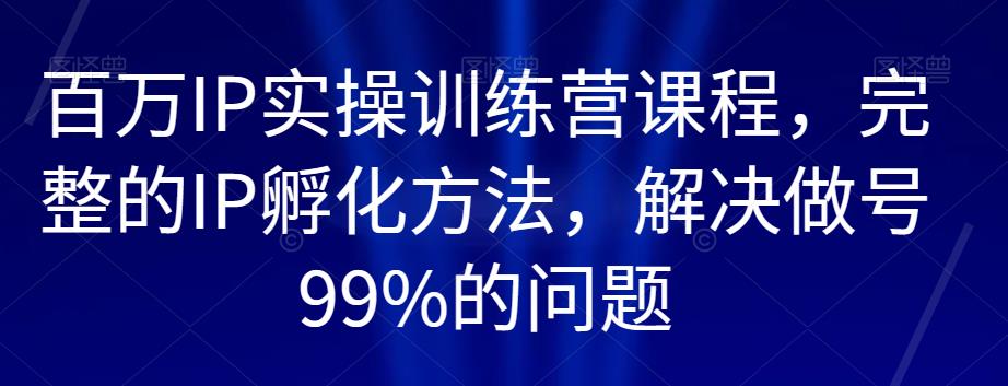 百万IP实操训练营课程，完整的IP孵化方法，解决做号99%的问题-优品网赚资源库