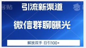 价值2980的全新微信引流技术，只有你想不到，没有做不到【揭秘】-优品网赚资源库