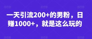 一天引流200+的男粉,日赚1000+,就是这么玩的【揭秘】-优品网赚资源库
