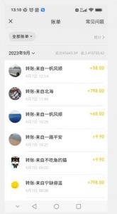 卖古籍电子书，作品只需要简单的图片去重，高客单价高利润，月入五位轻轻松松-优品网赚资源库