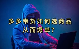 多多视频带货选什么商品链接才能爆单，10分钟教会你，爆单不是浮云【揭秘】-优品网赚资源库