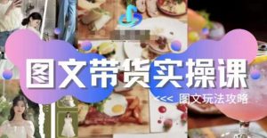 图文带货实操课，图文玩法攻略玩法-优品网赚资源库
