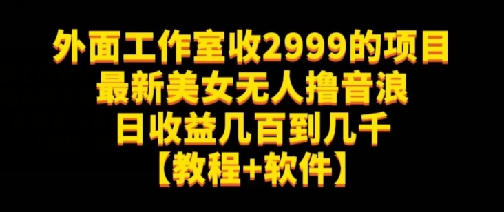 外面工作室收2999的项目最新美女无人撸音浪日收益几百到几千【教程+软件】(仅揭秘)-优品网赚资源库