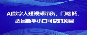 AI数字人短视频带货，门槛低，适合新手小白可做的项目-优品网赚资源库
