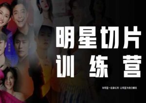 王子·明星切片线上训练营（2023），和明星一起拿红利，让明星为我们赚钱-优品网赚资源库