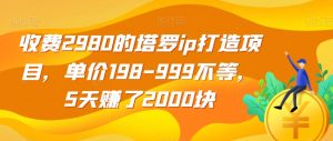 收费2980的塔罗ip打造项目，单价198-999不等，5天赚了2000块【揭秘】-优品网赚资源库