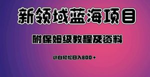 虚拟资源蓝海领域新项目，轻松日入800＋，附保姆级教程及资料-优品网赚资源库