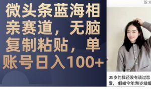 微头条蓝海相亲赛道,无脑复制粘贴,单账号日入100+-优品网赚资源库