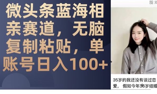微头条蓝海相亲赛道,无脑复制粘贴,单账号日入100+-优品网赚资源库