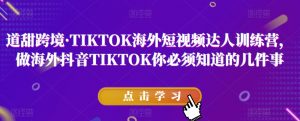 道甜跨境·TIKTOK海外短视频达人训练营,做海外抖音TIKTOK你必须知道的几件事-优品网赚资源库
