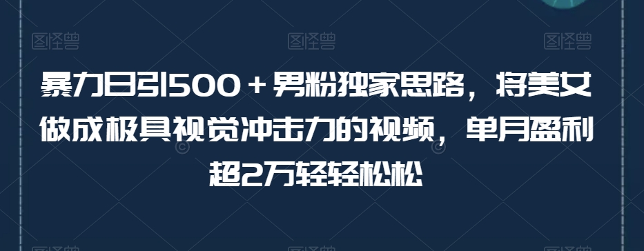 暴力日引500+男粉独家思路,将美女做成极具视觉冲击力的视频,单月盈利超2万轻轻松松-优品网赚资源库