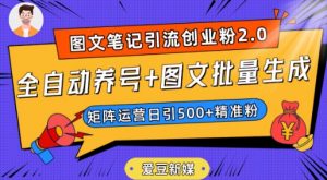爱豆新媒:全自动养号+图文批量生成,日引500+创业粉(抖音小红书图文笔记2.0)-优品网赚资源库