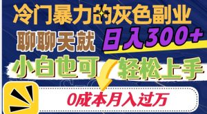 冷门暴利的副业项目，聊聊天就能日入300+，0成本月入过万【揭秘】-优品网赚资源库