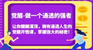 觉醒-做一个通透的强者,让你醍醐灌顶,拥有通透人生的觉醒开悟课,掌握强大的秘密!-优品网赚资源库