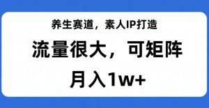 养生赛道,素人IP打造,流量很大,可矩阵,月入1w+【揭秘】-优品网赚资源库