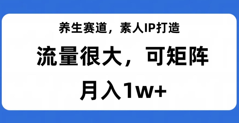养生赛道，素人IP打造，流量很大，可矩阵，月入1w+【揭秘】-优品网赚资源库