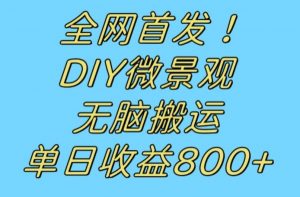 全网首发冷门赛道!DIY微景观,无脑搬运视频,日收益800+【揭秘】-优品网赚资源库