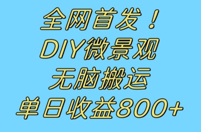 全网首发冷门赛道!DIY微景观,无脑搬运视频,日收益800+【揭秘】-优品网赚资源库