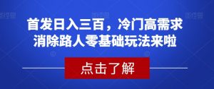 首发日入三百，冷门高需求消除路人零基础玩法来啦【揭秘】-优品网赚资源库