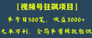 日收款500笔，纯利润3000+，视频号狂飙项目，会简单剪辑就能做【揭秘】-优品网赚资源库