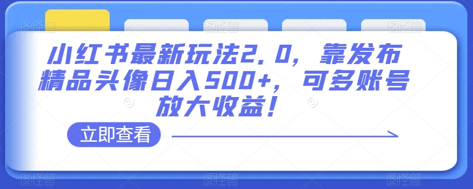 小红书最新玩法2.0，靠发布精品头像日入500+，可多账号放大收益！【揭秘】-优品网赚资源库