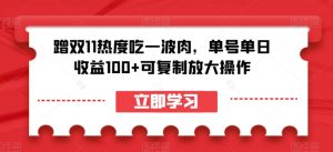 蹭双11热度吃一波肉，单号单日收益100+可复制放大操作【揭秘】-优品网赚资源库