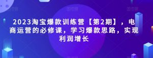 2023淘宝爆款训练营【第2期】，电商运营的必修课，学习爆款思路，实现利润增长-优品网赚资源库