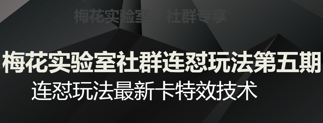 梅花实验室社群连怼玩法第五期，视频号连怼玩法最新卡特效技术-优品网赚资源库
