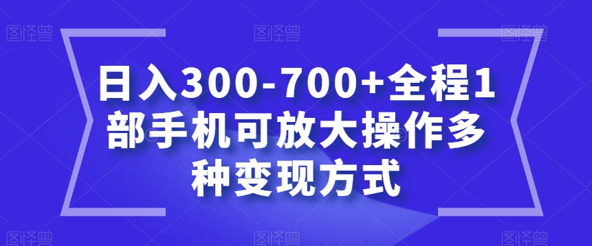 日入300-700+全程1部手机可放大操作多种变现方式【揭秘】-优品网赚资源库