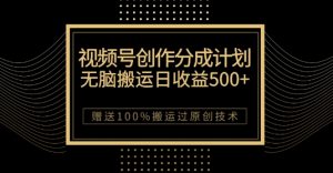 最新视频号创作分成计划，无脑搬运一天收益500+，100%搬运过原创技巧【揭秘】-优品网赚资源库