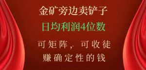 金矿旁边卖铲子，赚确定性的钱，可矩阵，可收徒，日均利润4位数【揭秘】-优品网赚资源库