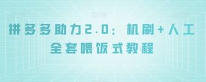 拼多多助力2.0：机刷+人工全套喂饭式教程【揭秘】-优品网赚资源库