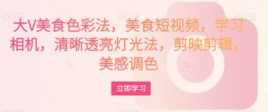 大V美食色彩法，美食短视频，学习相机，清晰透亮灯光法，剪映剪辑，美感调色-优品网赚资源库