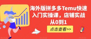 海外版拼多多Temu快速入门实操课，店铺实战从0到1-优品网赚资源库