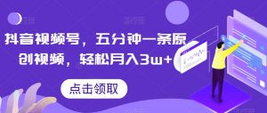 抖音视频号，五分钟一条原创视频，轻松月入3w+【独家秘诀，传授赚钱方法】【揭秘】-优品网赚资源库