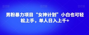 男粉暴力项目“女神计划”小白也可轻松上手，单人日入上千+【揭秘】-优品网赚资源库
