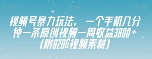 视频号暴力玩法，一个手机几分钟一条原创视频一周收益3800+（附820G视频素材）-优品网赚资源库