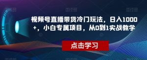 视频号直播带货冷门玩法，日入1000+，小白专属项目，从0到1实战教学【揭秘】-优品网赚资源库