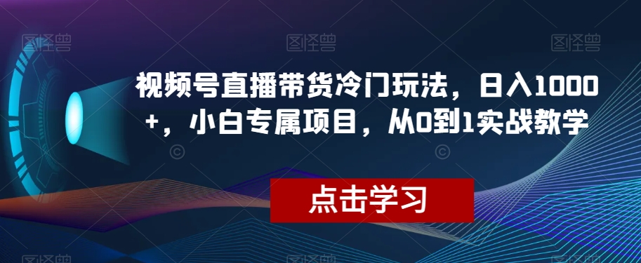 视频号直播带货冷门玩法，日入1000+，小白专属项目，从0到1实战教学【揭秘】-优品网赚资源库