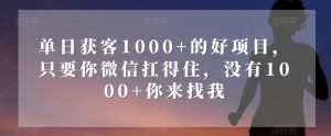单日获客1000+的好项目，只要你微信扛得住，没有1000+你来找我【揭秘】-优品网赚资源库