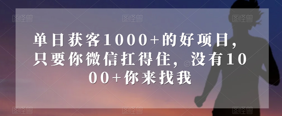 单日获客1000+的好项目，只要你微信扛得住，没有1000+你来找我【揭秘】-优品网赚资源库