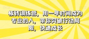 板砖训练营,用一年时间成为专业的人,带你突破行动局限,快速成长-优品网赚资源库