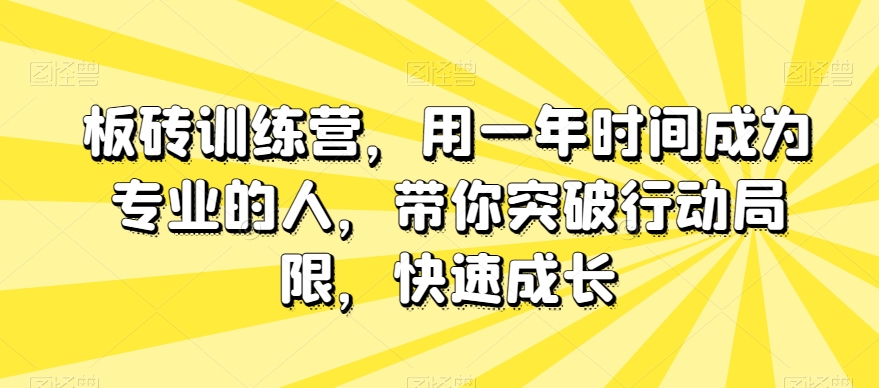 板砖训练营,用一年时间成为专业的人,带你突破行动局限,快速成长-优品网赚资源库