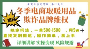 利用电商平台冬季销售取暖用品欺诈行为合理制裁店铺，单日入900+【仅揭秘】-优品网赚资源库