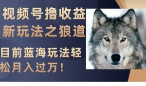 视频号撸收益新玩法之狼道，目前蓝海玩法，轻松月入过万【揭秘】-优品网赚资源库