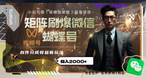 矩阵刷爆微信蝴蝶号创作者分成计划收益的新玩法，日入2000+【揭秘】-优品网赚资源库