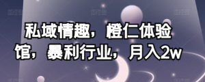 私域情趣，橙仁体验馆，暴利行业，月入2w【揭秘】-优品网赚资源库