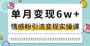 单月变现6W+,抖音情感粉引流变现实操课,小白可做,轻松上手,独家赛道【揭秘】-优品网赚资源库