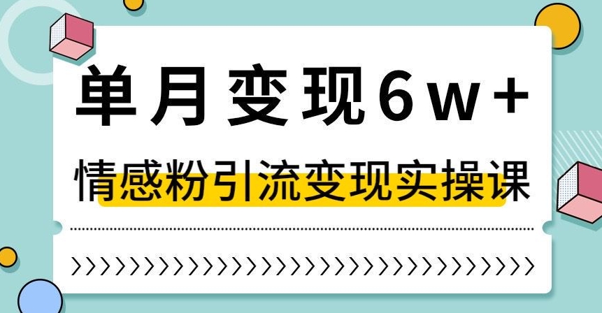 单月变现6W+，抖音情感粉引流变现实操课，小白可做，轻松上手，独家赛道【揭秘】-优品网赚资源库