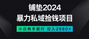 暴力私域捡钱项目，小白无脑操作，日入2980【揭秘】-优品网赚资源库